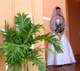 45_bridesam_swills_-068