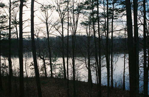 lake_treeline