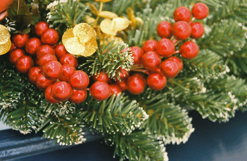 lake_xmas_detail