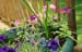 flowers_wspider