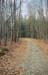 lake_path