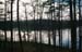 lake_treeline
