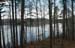 lake_treeline2