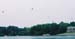 lakedays_balloons