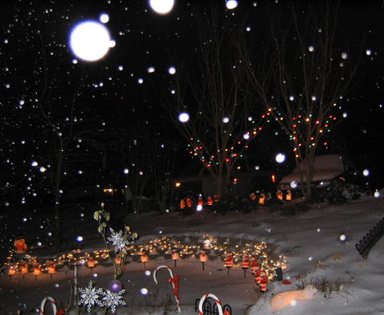 1_2eve_snowdown
