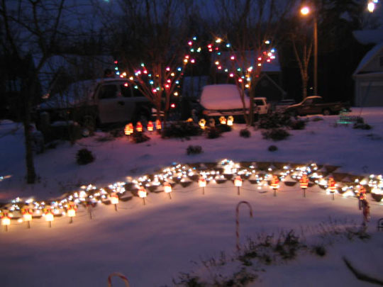 2_5dark_front_yard