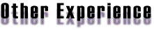 Other Experience