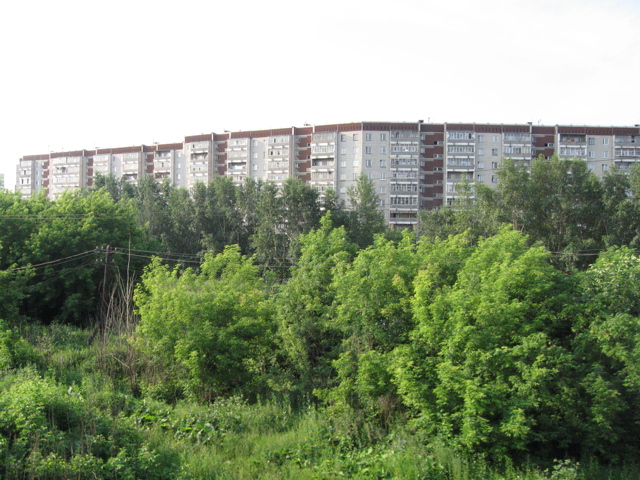 IMG_1498.JPG