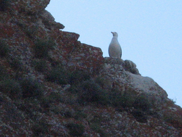 IMG_2625.JPG