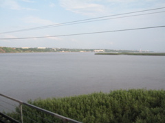 IMG_3278.JPG