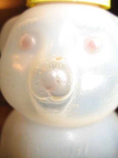 [IMAGE of Sage mystic bear