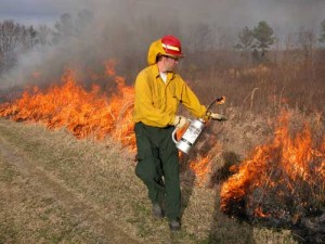 Management-with-fire-JR