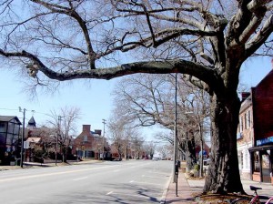 Oak-on-West-Franklin