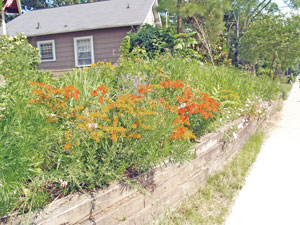 flora060710