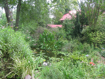 Keith-arb-koi-pond