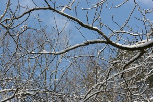img_19242