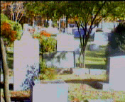 Scene of
Cemetery