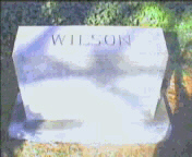 Louis Wilson