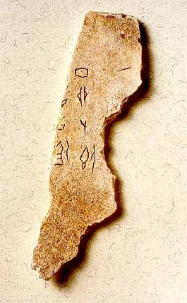 Chinese archaeology, oracle bones