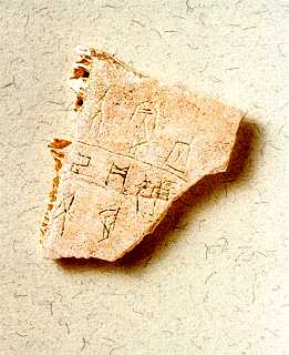 Chinese archaeology, oracle bones