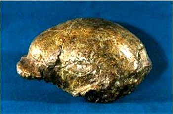 Chinese archaeology, Peking man
