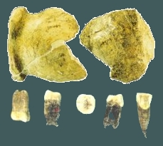 Chinese archaeology, Peking man
