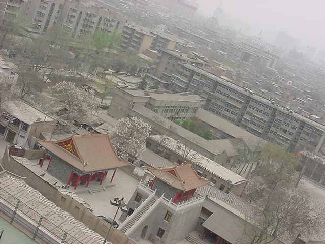 Chinese art, Calligraphy, Calligraphers