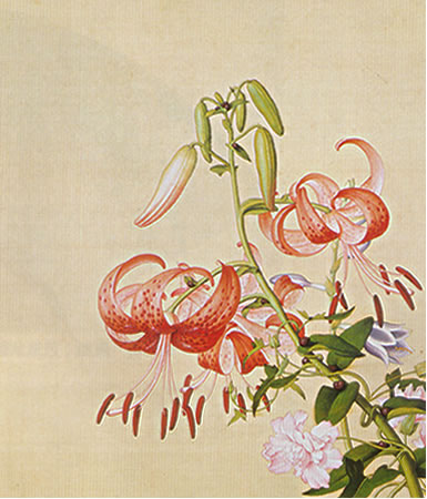 Album of Flower Paintings, Leaf 9, Lang Shining (Giuseppe Castiglione, S.J.) (1688-1766)