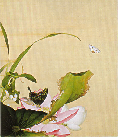 Album of Flower Paintings, Leaf 11, Lang Shining (Giuseppe Castiglione, S.J.) (1688-1766)