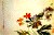 Paintings, Albums, Album of Flowers and Landscapes, Leaf 4