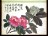 Paintings, Albums, Album of Twelve Leaves- Flowers, Leaf 9