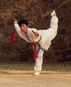 Chinese martial arts, Martial arts of China