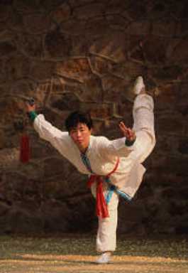 Chinese martial arts, Martial arts of China