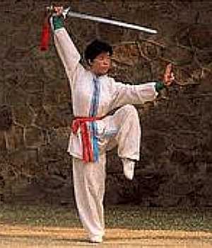 Chinese martial arts, Martial arts of China