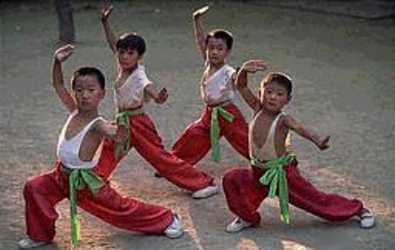 Chinese martial arts, Martial arts of China
