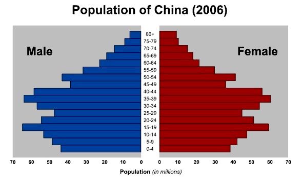 population pyramids china