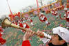 Chinese New Year Celebrations