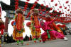 Chinese New Year Celebrations