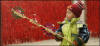 Chinese New Year Celebrations