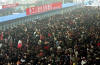 Chinese New Year Celebrations