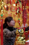 Chinese New Year Celebrations
