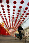 Chinese New Year Celebrations