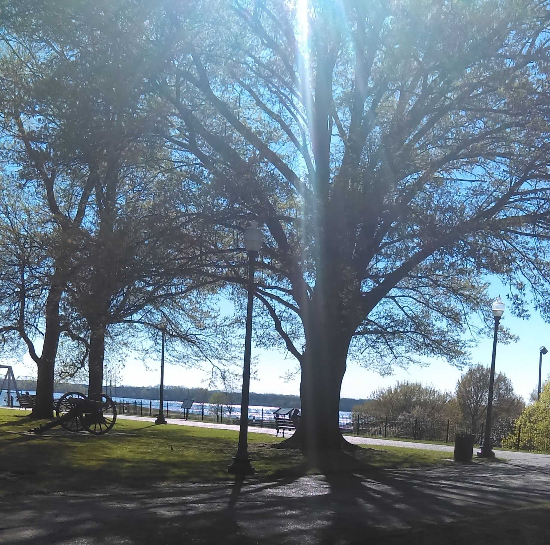 Confederate Park in
                Memphis