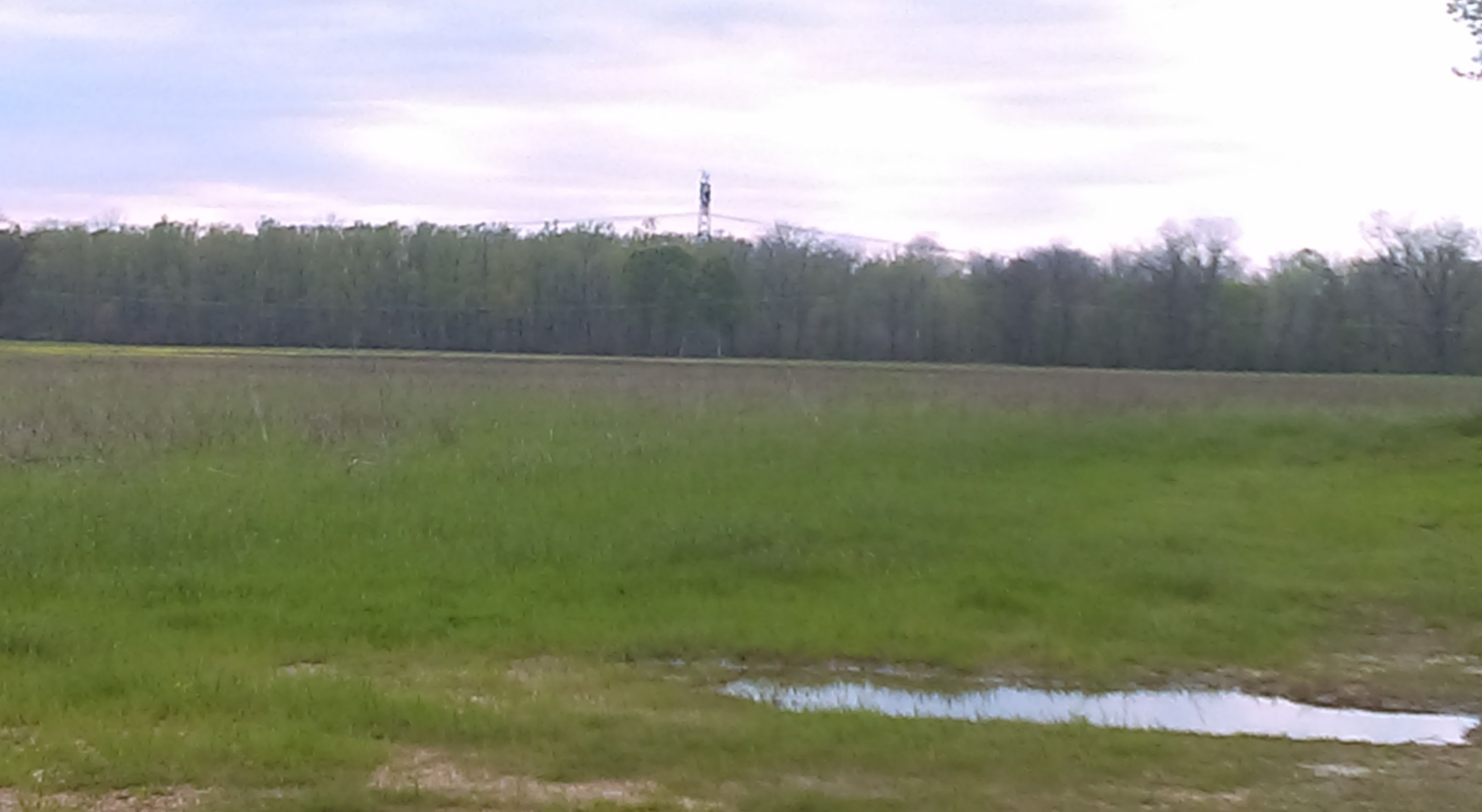 Warrenton