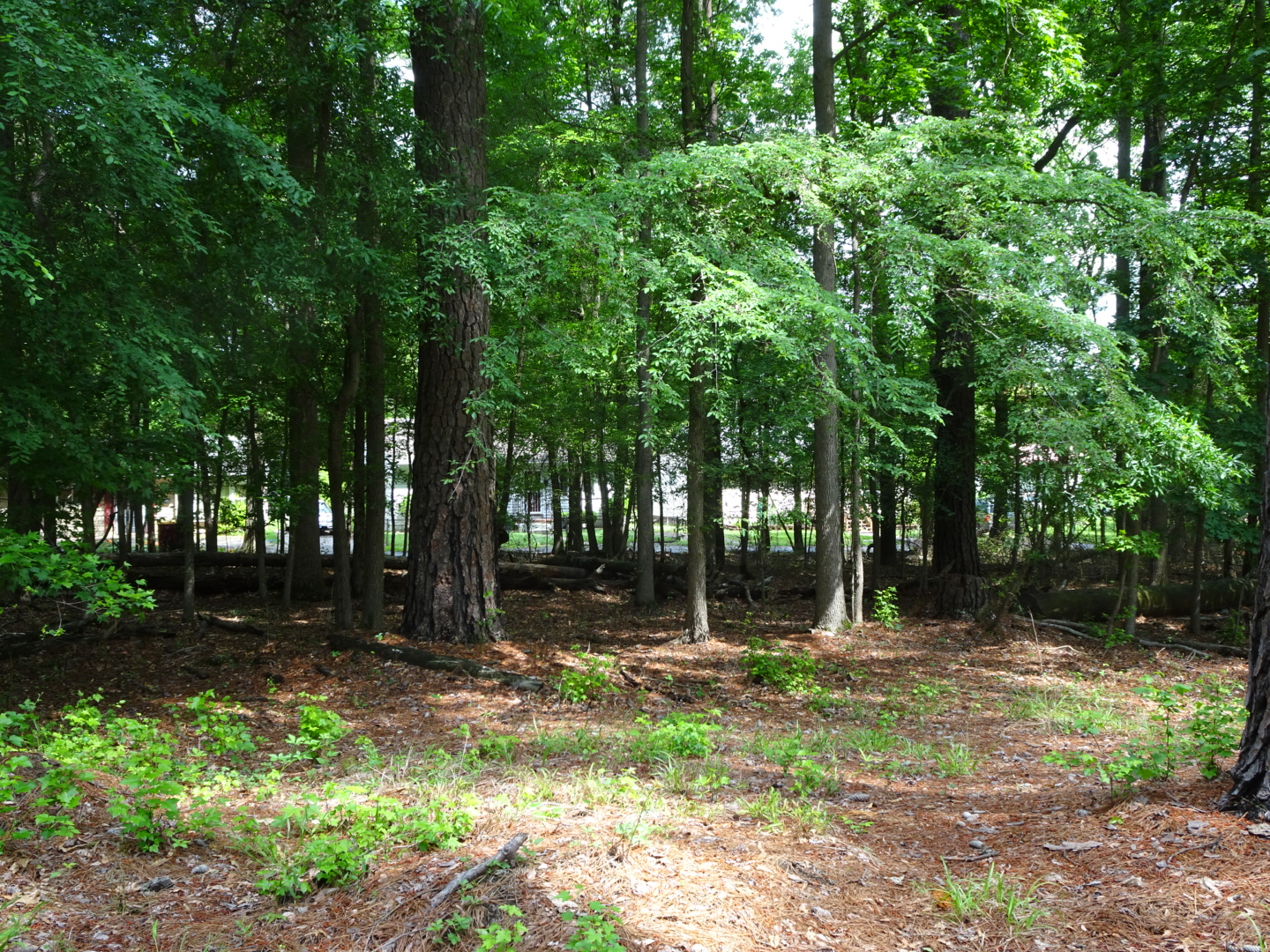 Fort Stedman Counterattack