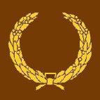 Merit Patch