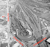 !956 Arial View
