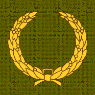 Meritorious Unit Commendation