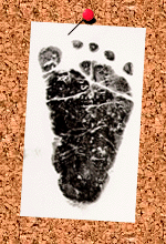 rfoot.gif (29043 bytes)