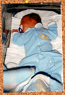 sean1.GIF (56332 bytes)
